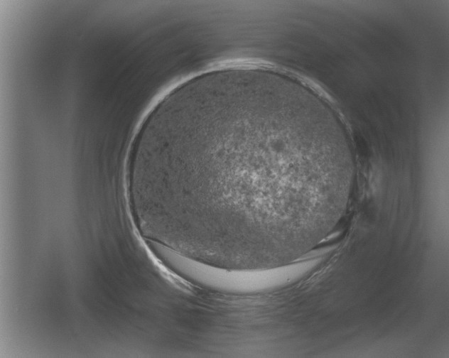 X0000060571430200511071007