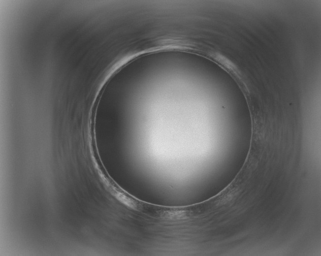 X0000060571431200511071007