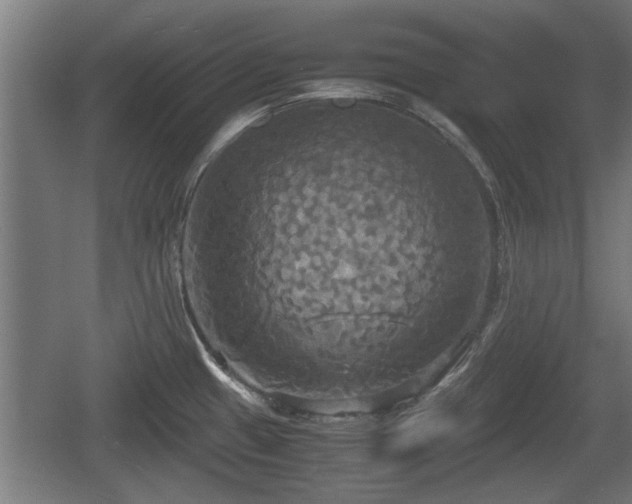 X0000060571433200511071007