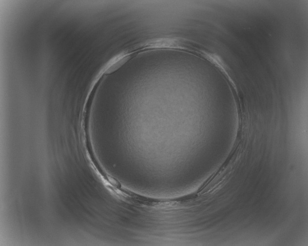 X0000060571434200511071007