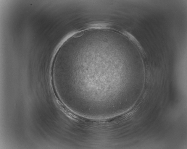 X0000060571435200511071007