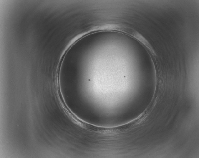 X0000060571436200511071007