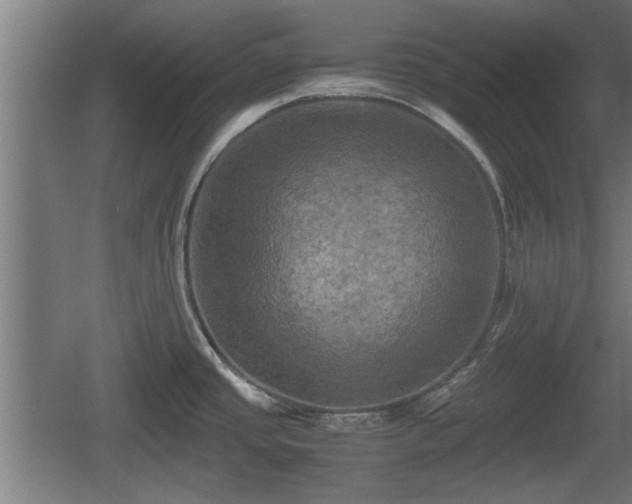 X0000060571437200511071007