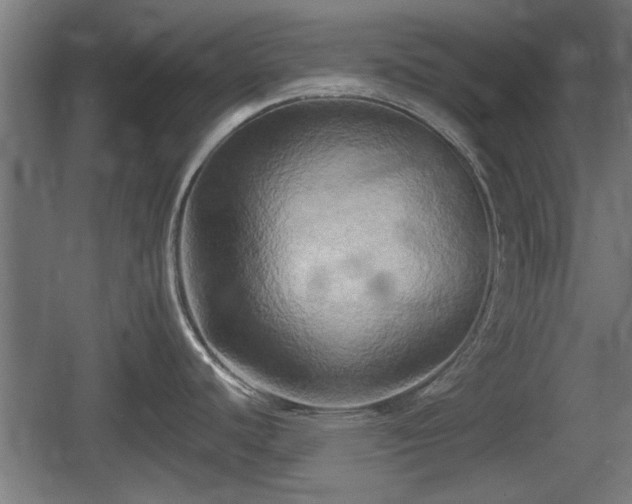 X0000060571440200511071007