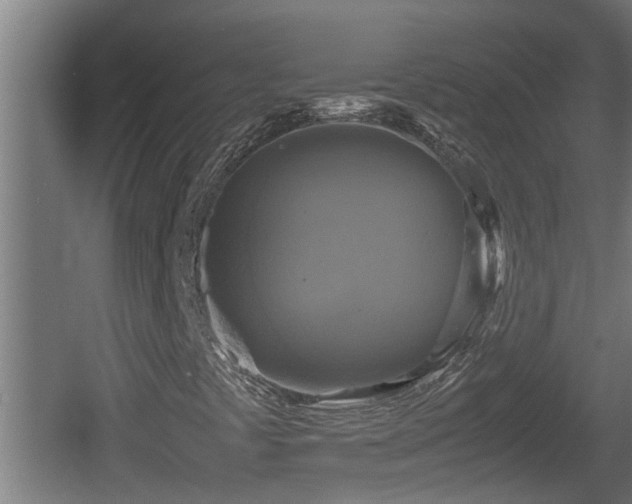 X0000060571441200511071006