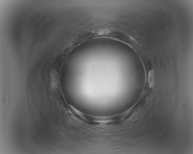 X0000060571443200511071006