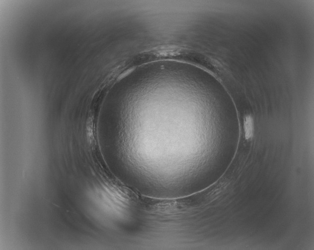 X0000060571444200511071006