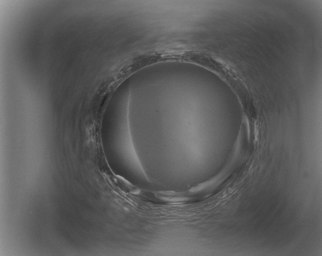 X0000060571445200511071006