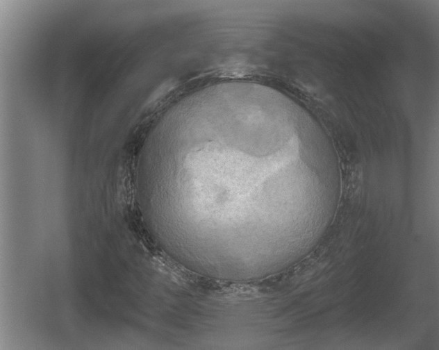 X0000060571446200511071006