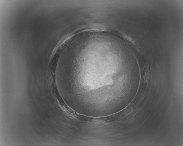 X0000060571448200511071006