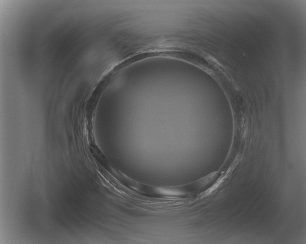 X0000060571449200511071006