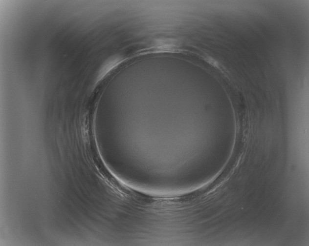 X0000060571450200511071006