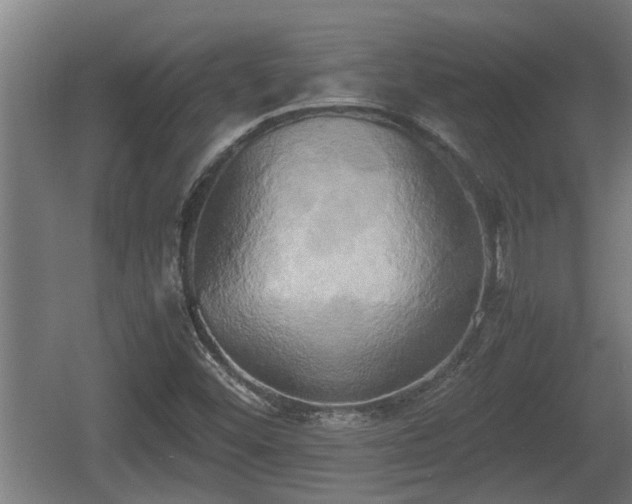 X0000060571452200511071006