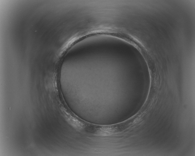 X0000060571455200511071006