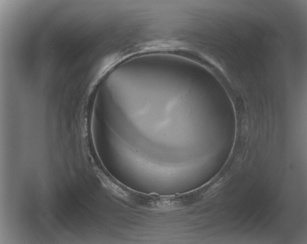 X0000060571459200511071006