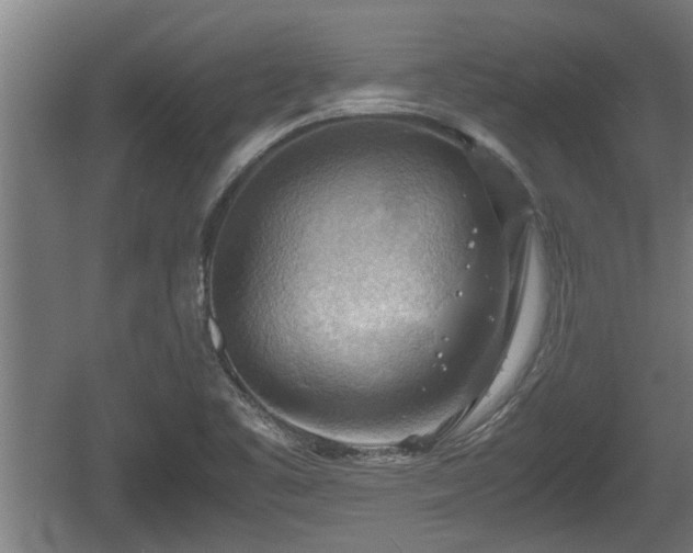 X0000060571461200511071006