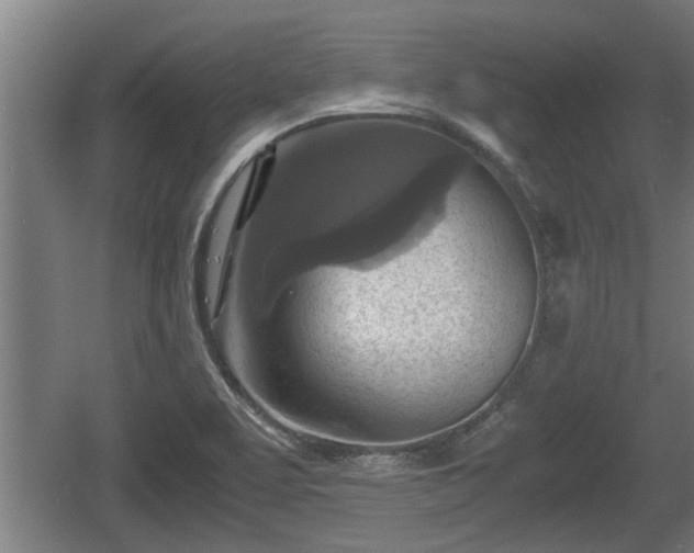 X0000060571463200511071006