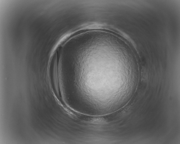 X0000060571464200511071006