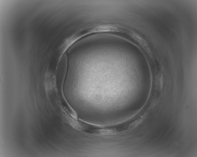 X0000060571465200511071006