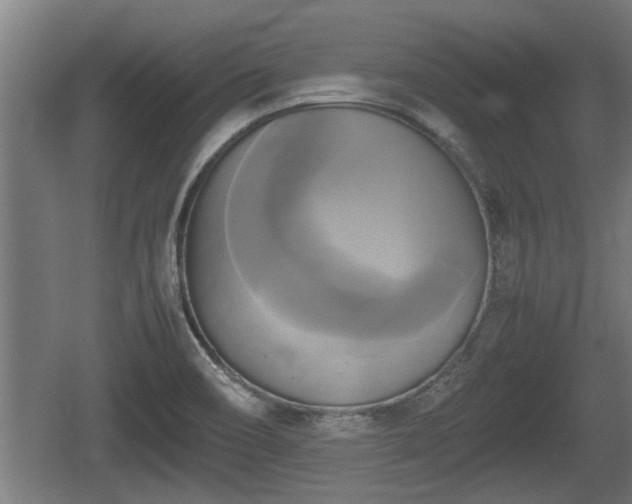 X0000060571466200511071006