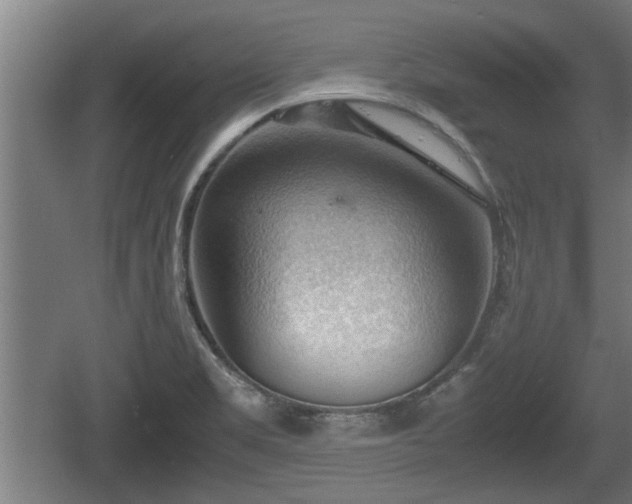 X0000060571469200511071006