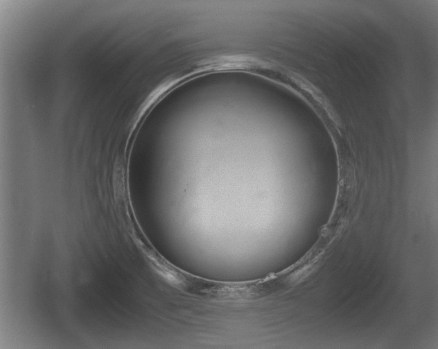 X0000060571473200511071006