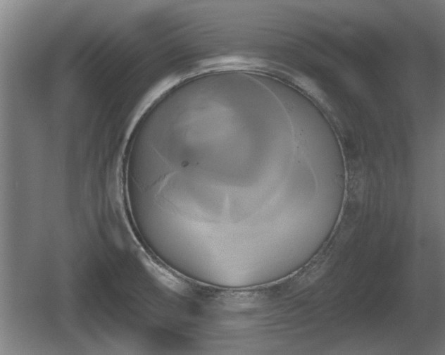 X0000060571474200511071006