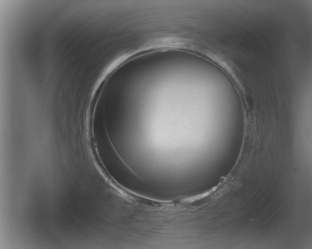 X0000060571477200511071006