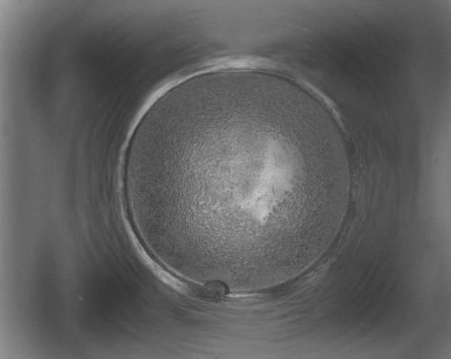 X0000060571483200511071006