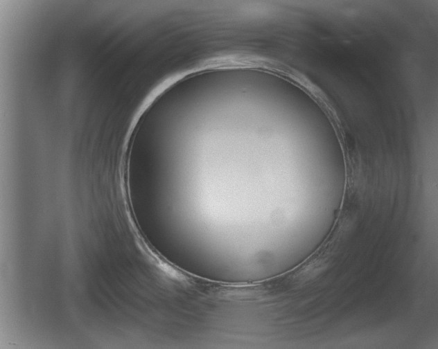 X0000060571486200511071006