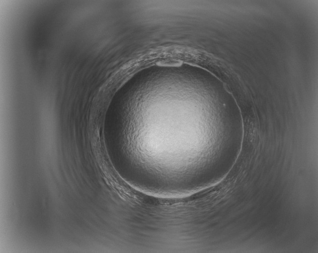X0000060571489200511071005