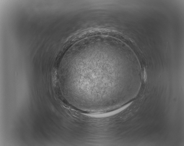 X0000060571492200511071005