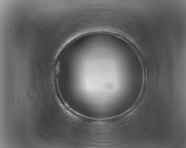 X0000060571500200511071005