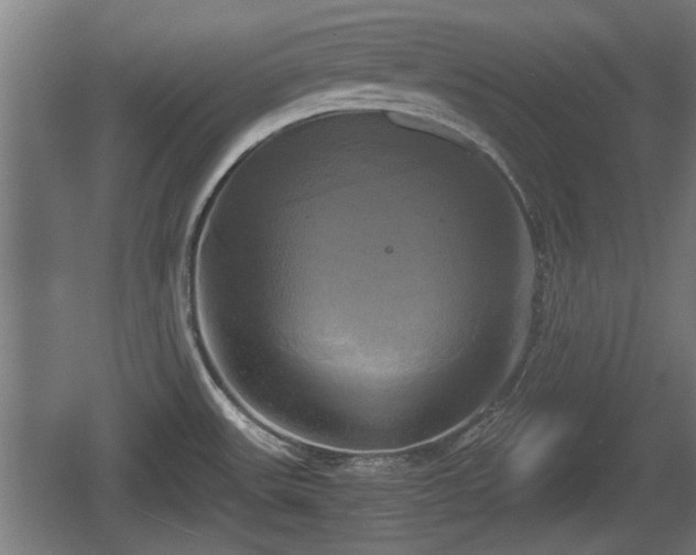 X0000060571531200511071006