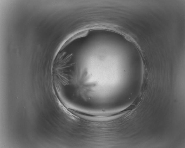 X0000060571532200511071006
