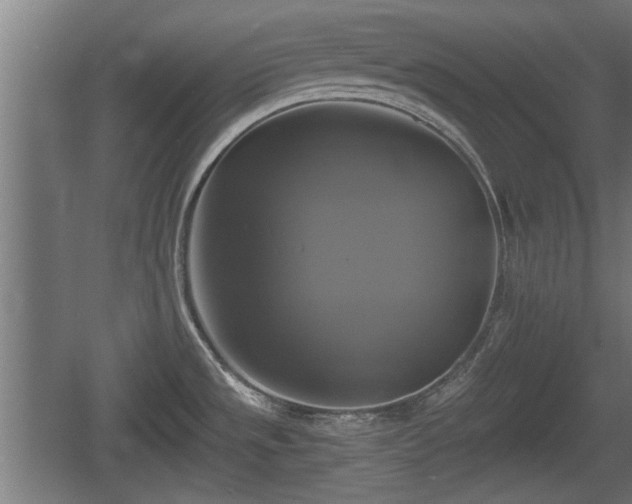 X0000060571533200511071006