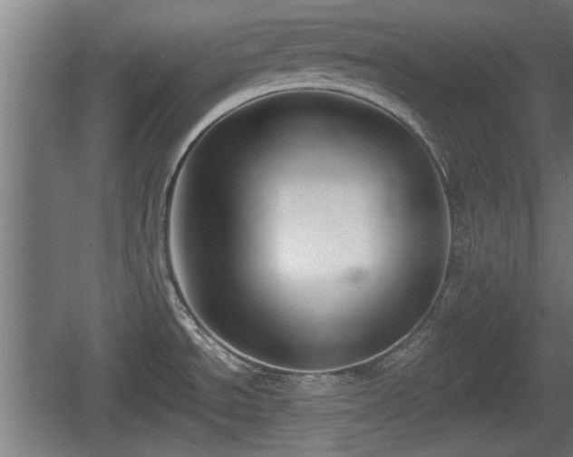 X0000060571534200511071006