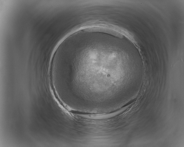 X0000060571536200511071006