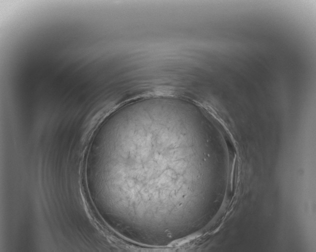 X0000060570001200511101642