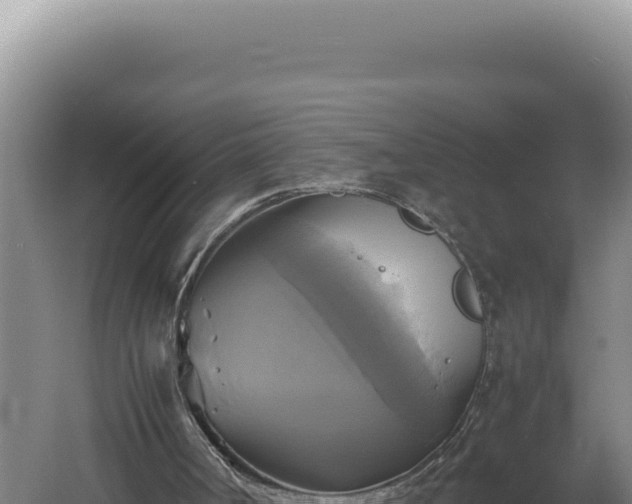 X0000060570002200511101642