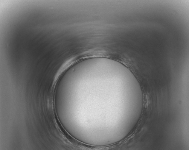 X0000060570004200511101642