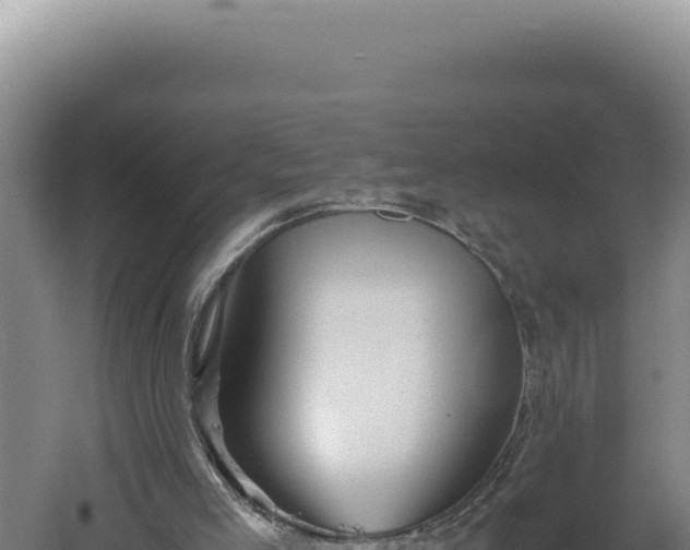 X0000060570005200511101642