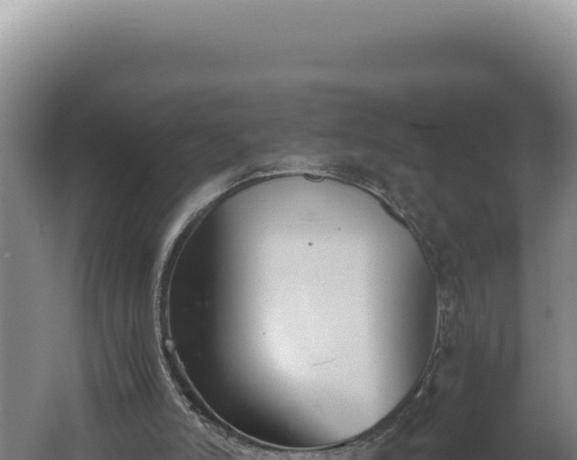 X0000060570006200511101642