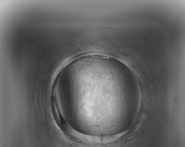 X0000060570007200511101642