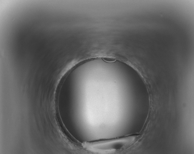 X0000060570008200511101642