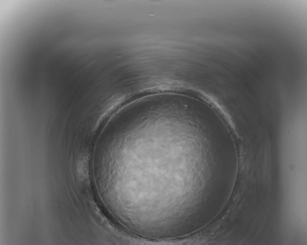 X0000060570010200511101642