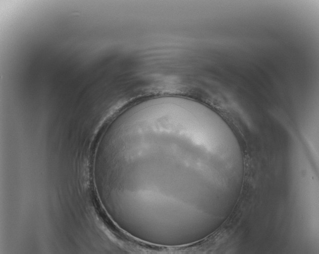 X0000060570012200511101642