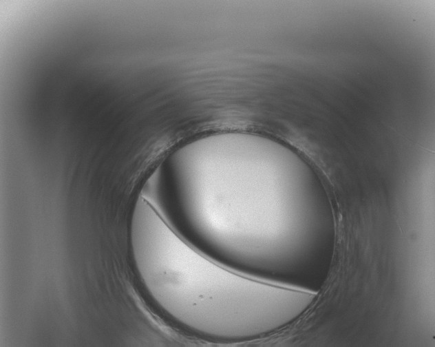 X0000060570013200511101642