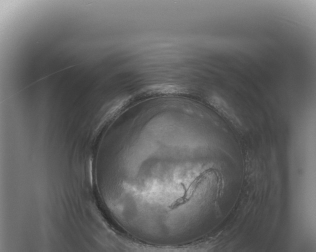 X0000060570014200511101641