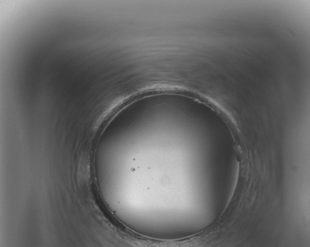 X0000060570015200511101641